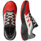 Salomon Alphaglide GTX